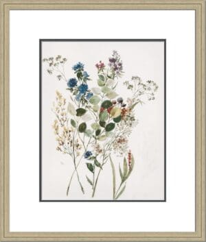 DELICATE FLOWERS I
