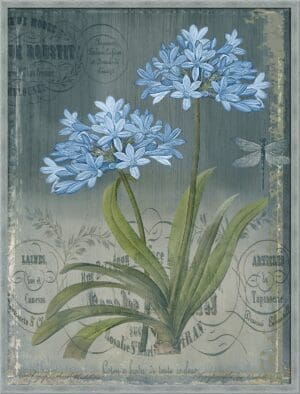 BLACK BOTANICAL II