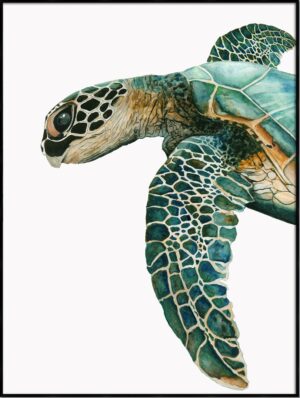 GREAT SEA TURTLE II