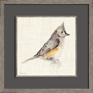 TUFTED TITMOUSE