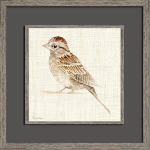 CHIPPING SPARROW