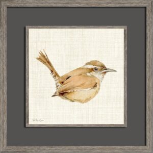 CAROLINA WREN