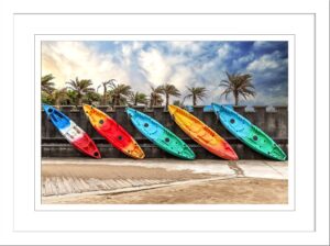 Surf Boards & Palm Trees p3020